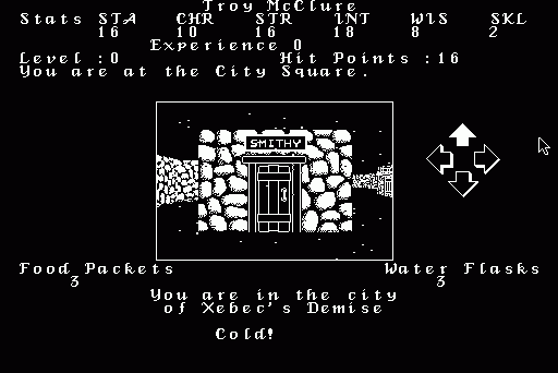 Alternate Reality: The City screenshot 4 for Amiga